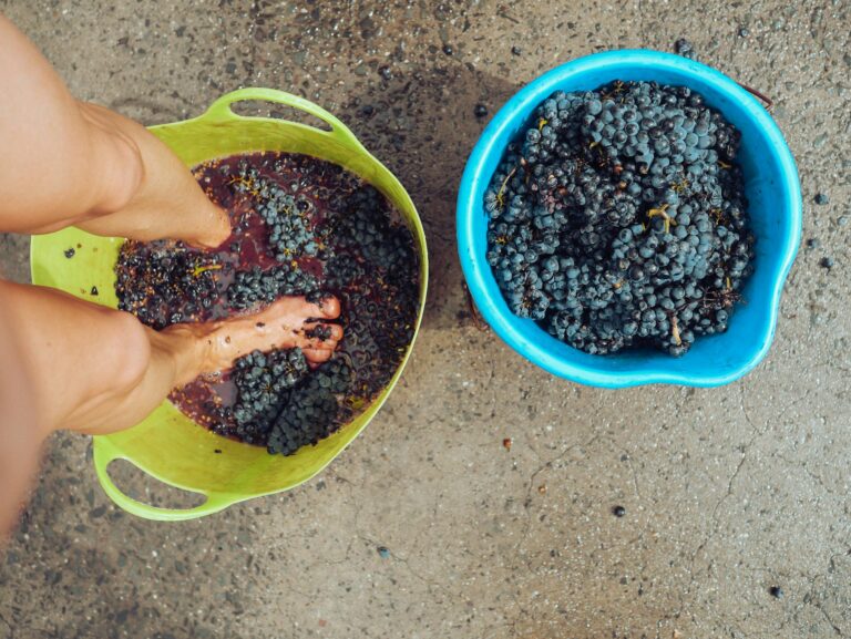 Feet crushing grapes in buckets for traditional winemaking process.